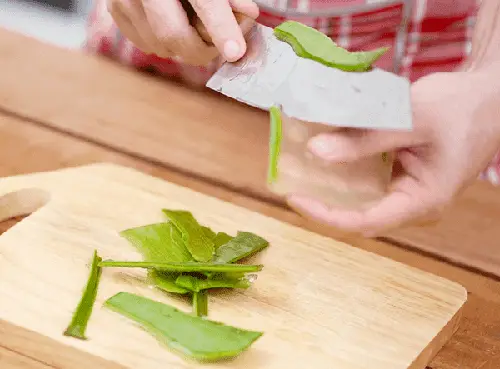 5 cách nấu chè hạt sen thơm ngon thanh mát đúng chuẩn tại nhà