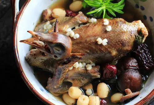 Bí quyết làm món chim bồ câu hầm thuốc bắc thơm ngon