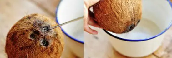Sơ chế nguyên liệu làm nước cốt dừa