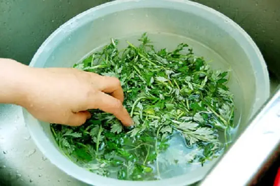 ngải cứu làm gà tần thuốc bắc