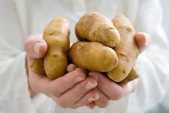 Điều trị bệnh với nước ép khoai tây