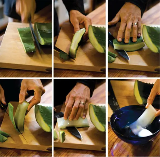Chế biến nha đam giòn mà không nhớt bằng nước cốt chanh