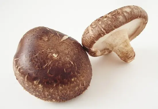 Chọn nấm đúng cách và an toàn