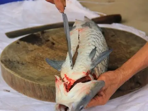 Làm sạch cá trắm