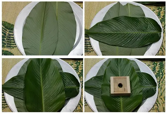 Cách làm bánh chưng ngày Tết vừa đẹp vừa nhanh