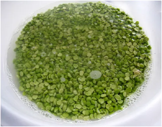 ngâm đậu xanh trong nước