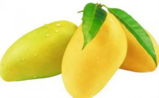 những mẹo nhỏ khi làm bánh flan xoài -1