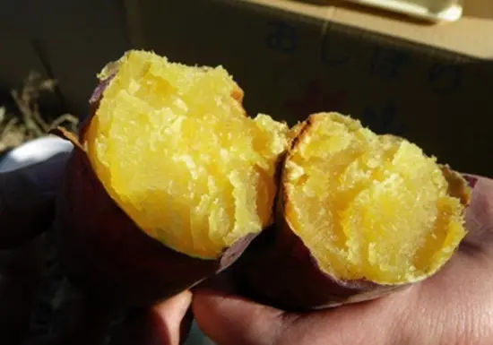bánh mì khoai lang hấp khoai