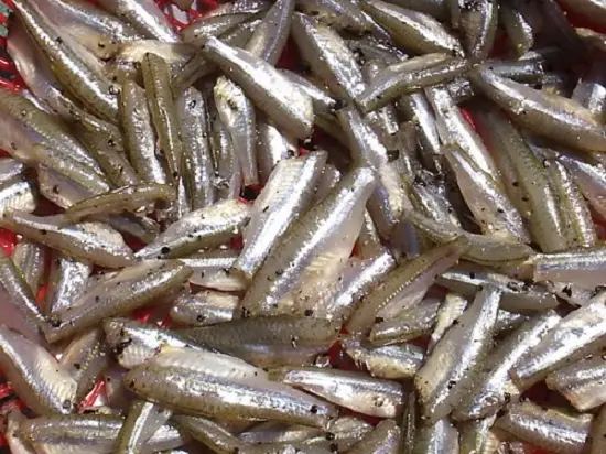 cá linh đem ướp