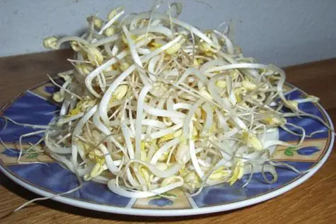 cach-lam-xeo-mien-nam-mien-tay-5