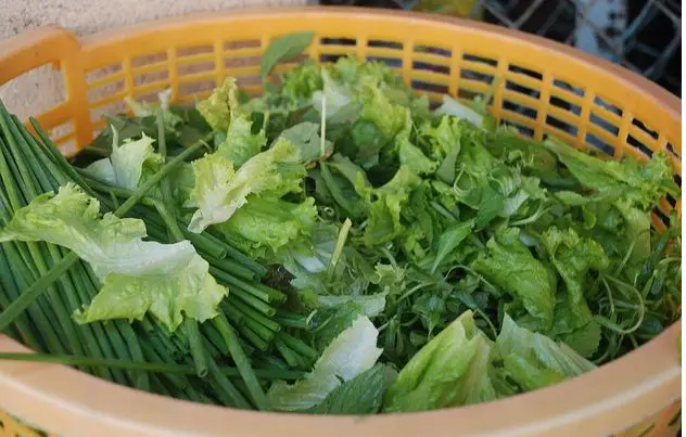 Kết quả hình ảnh cho Rau sống ăn bánh xèo
