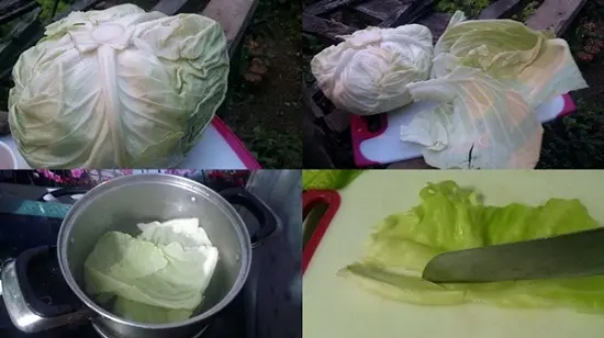 bắp cải cuộn thịt sốt cà chua sơ chế