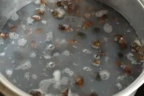 Cachlambunoctainhadamchatquehuong4