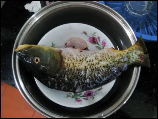 cá chép hấp bia làm sạch cá
