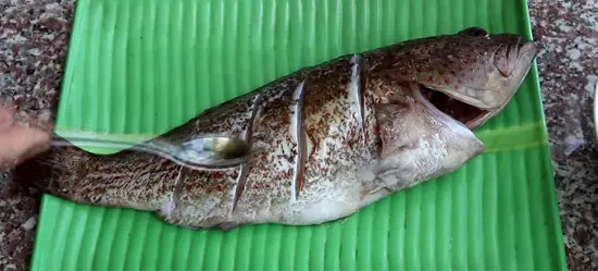 Huong dan lam mon ca hap a