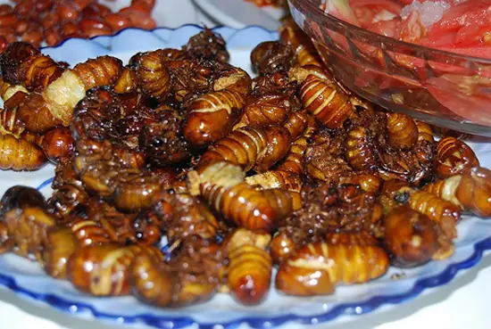 cach-che-bien-nhong-tam-1