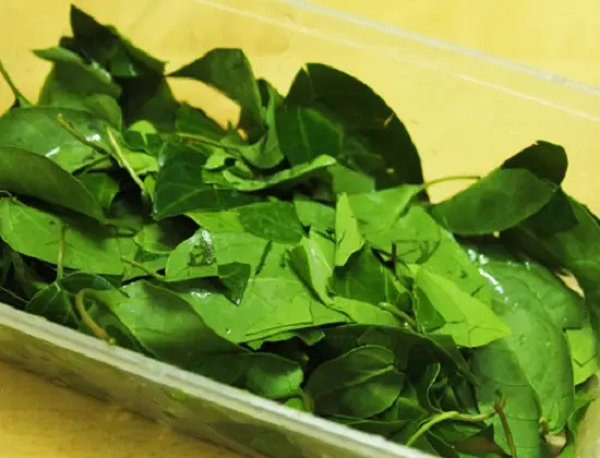 Chuẩn bị nguyên liệu làm canh gà lá giang 3