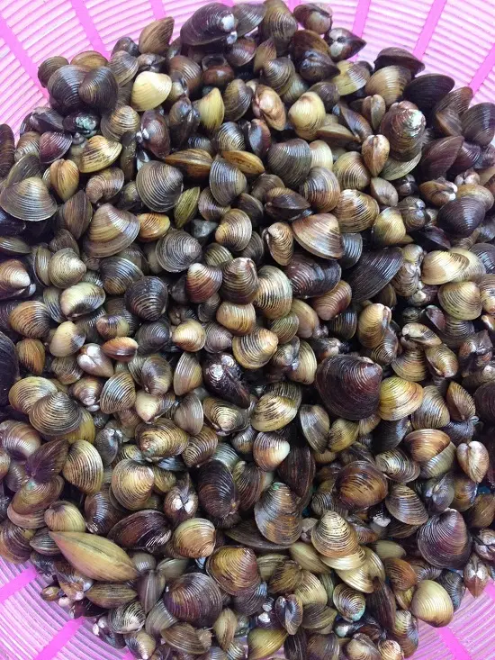 canh hến nấu mướp rửa sạch hến