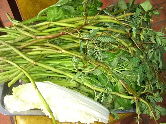 cach-lam-canh-suon-nau-sau-3