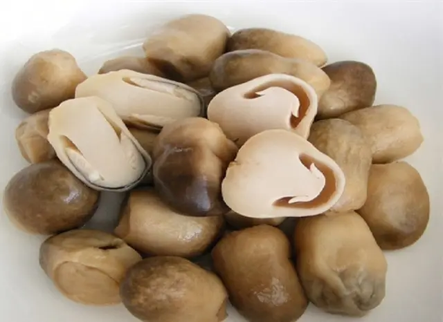 Hoc-lam-canh-tom-chua-cay-ngon-dac-biet-5