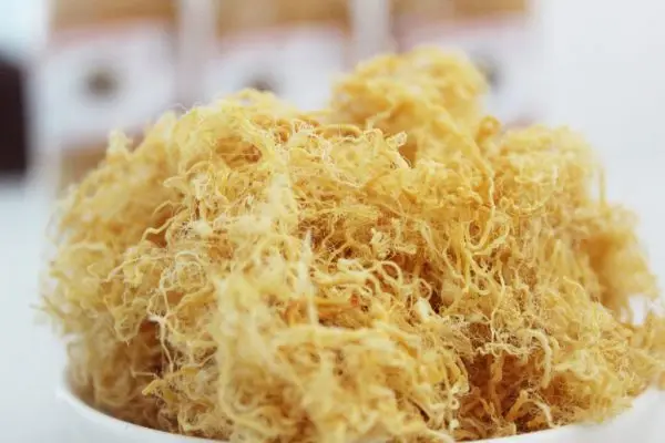 Để chà bông nguội hẳn rồi cho vào hộp bảo quản - cach lam cha bong