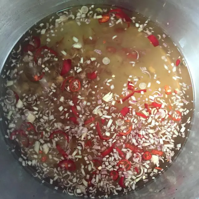 chan-ga-ngam-chua-ngot-3