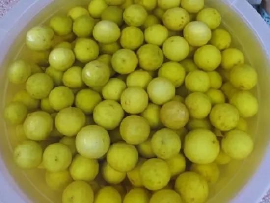 ngâm chanh với phèn chua