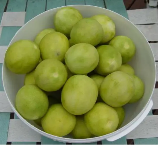 Cách làm chanh muối giòn ngon mà không bị đắng 2