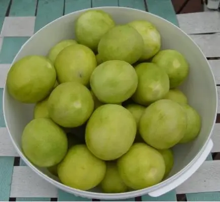 trà chanh - cách làm chanh muối