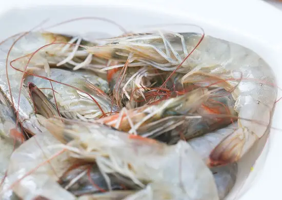 rửa sạch tôm