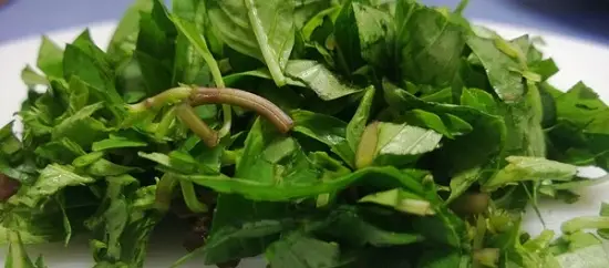 Chuẩn bị nguyên liệu làm gỏi đu đủ bò khô 1