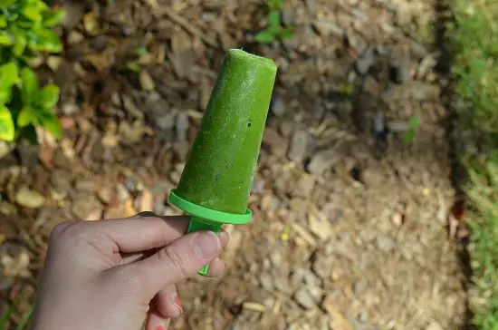 Cách làm 3 món kem hoa quả cực sáng tạo 5