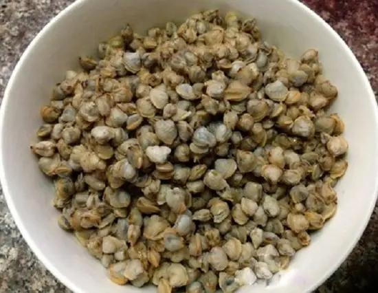Các bước thực hiện món miến xào hến 1