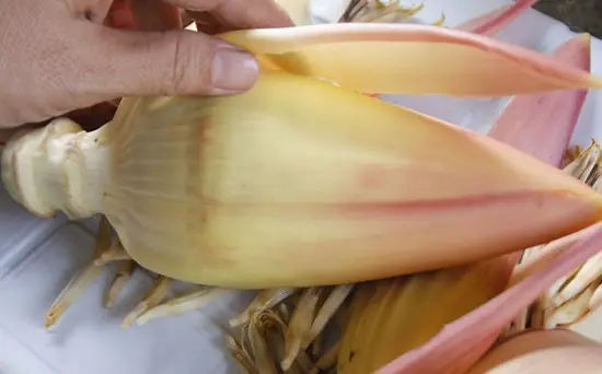 bóc bỏ phần vỏ bên ngoài