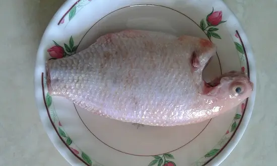 Cách làm món cá diêu hồng sốt cà chua 3