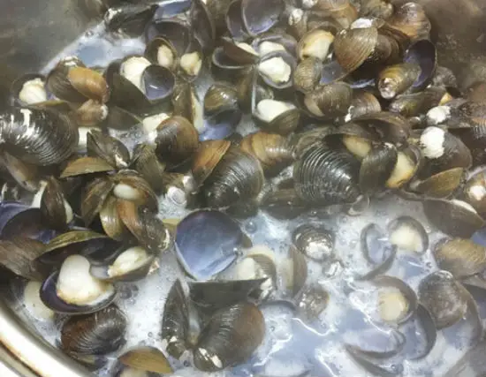 Các bước làm canh hến nấu chua