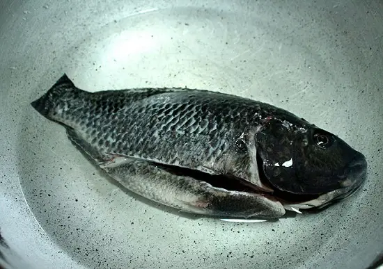 làm sạch cá