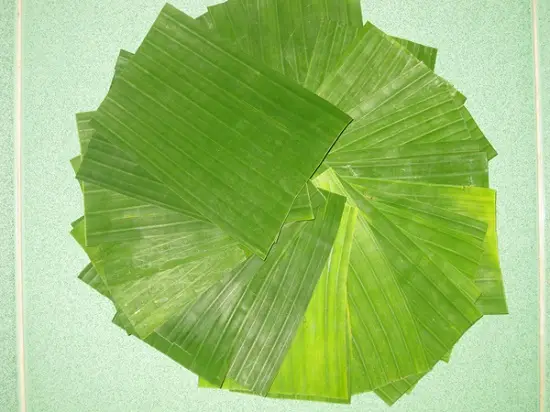 cắt lá chuối