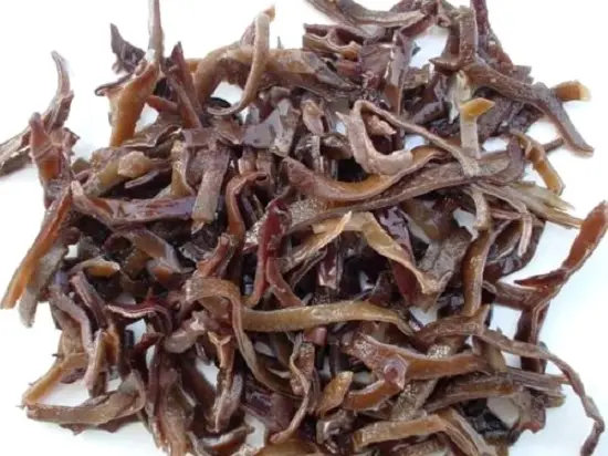 thái mộc nhĩ thành những sợi nhỏ