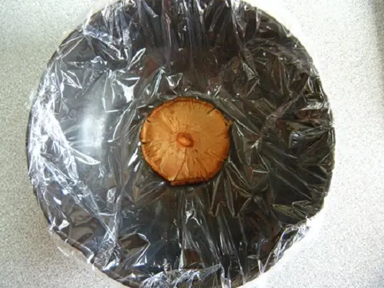 cho nấm vào bát