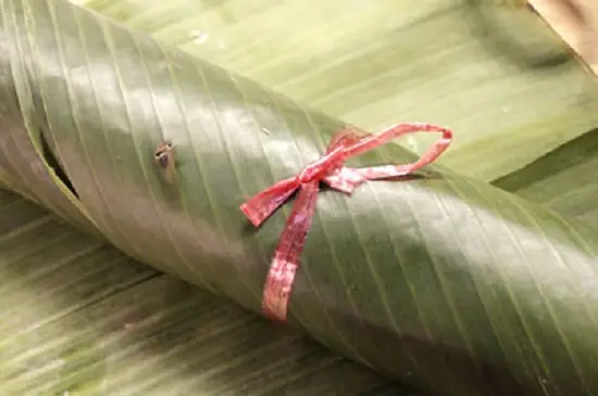 cuộn tròn lá lại