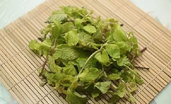 lá bạc hà