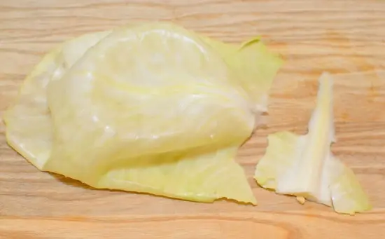 cắt bỏ phần thân lá bắp cải
