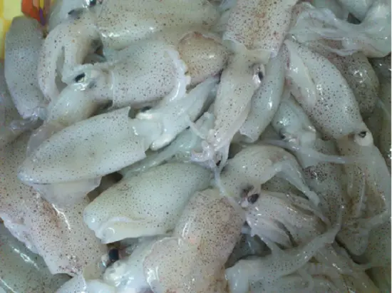 mực làm sạch - mực xào