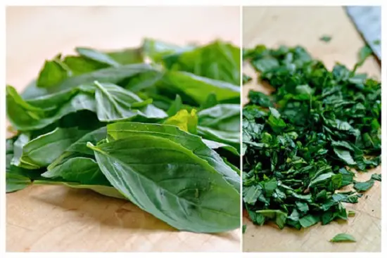 lá húng quế thái nhỏ