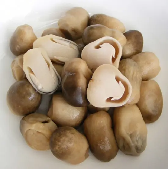 nấm tươi cắt đôi