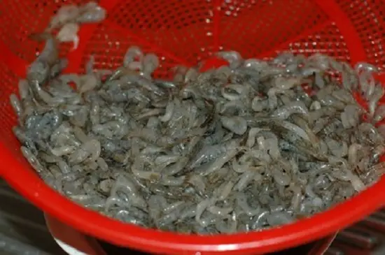 tép rửa sạch
