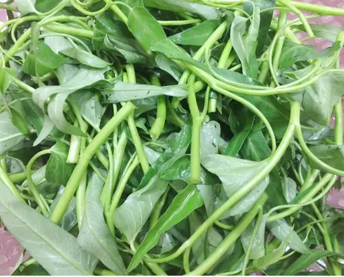 vit-nau-chao-3