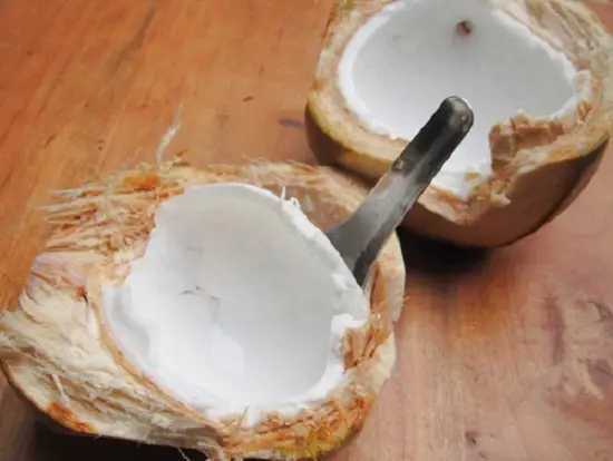 lấy cùi dừa
