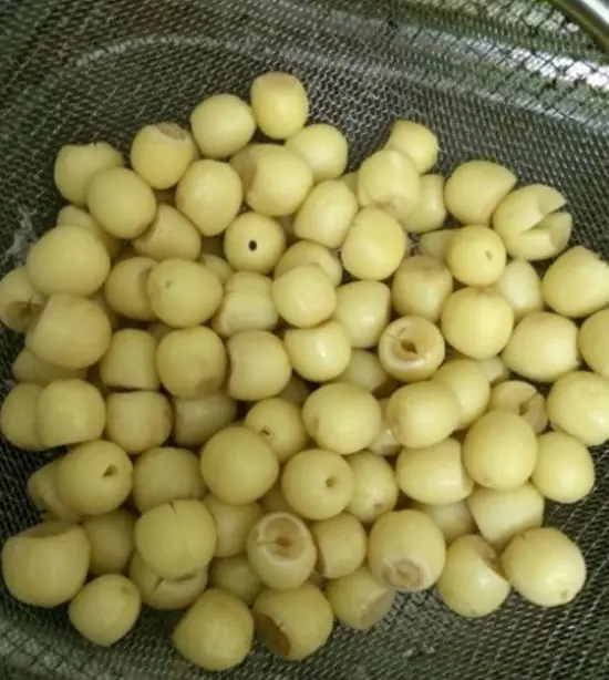 cach-lam-mut-hat-sen-05